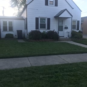 Bush Trimming by Ace's Landscape & Lawn services reviewed on August 16, 2025