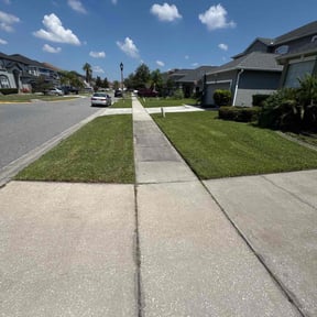 turf maintenance by Paul Ney reviewed on August 20, 2025