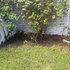 Leaf Removal by B&amp;F lawncare reviewed on September 13, 2025