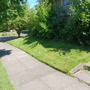 grass maintenance by Complete Lawn Care reviewed on April 26, 2024