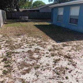 Leaf Removal by The1GreenThumb reviewed on August 17, 2025