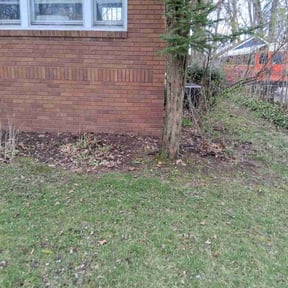 Leaf Removal by Brookes Lawnscape reviewed on September 10, 2019