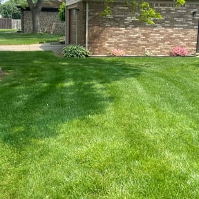 landscape maintenance by First Landscape reviewed on January 8, 2026