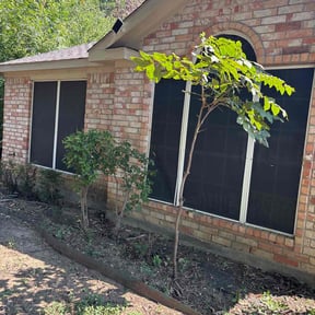 Bush Trimming by Ryan&#039;s Neighborhood Lawn Service reviewed on November 24, 2025