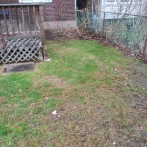 Leaf Removal by Atlanta Lawn Masters reviewed on September 15, 2025