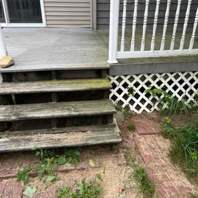 Bush Trimming by Soto master reviewed on December 10, 2025