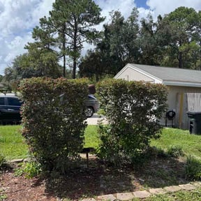 Bush Trimming by Tuscarora Landscape LLC reviewed on August 16, 2026