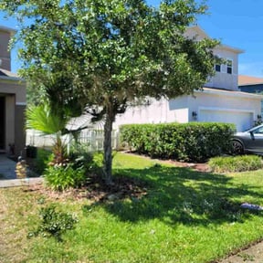 Bush Trimming by Vazquez Lawncare reviewed on August 20, 2025