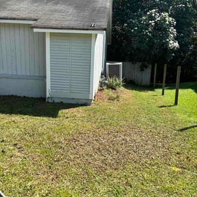 Leaf Removal by Seed 2 Sapling reviewed on August 22, 2026