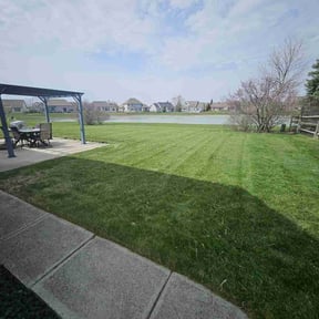 yard service by Zunigas Green Care LLC reviewed on August 20, 2025