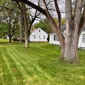 yard service by Reynolds Lawncare reviewed on August 18, 2025