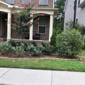 Bush Trimming by A&R landscaping reviewed on August 21, 2025