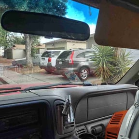 Bush Trimming by Eco IGS Landscaping reviewed on October 22, 2025