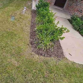 Flower Bed Weeding by TMW Services reviewed on May 16, 2026