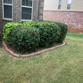 Bush Trimming by Jrb landscaping & snowplowing reviewed on August 18, 2025