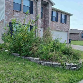 Flower Bed Weeding by Daniel&amp;son law care reviewed on June 21, 2026