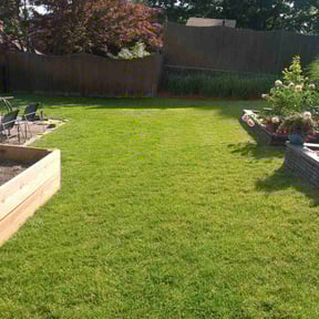 yard care by A-1 Affordable Lawn Care reviewed on August 15, 2025