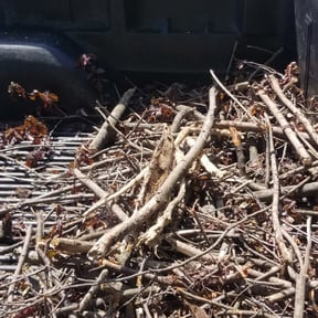 Leaf Removal by Nathaniel Bonsell reviewed on September 29, 2025