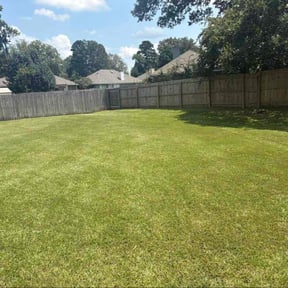 yard care by TN reviewed on December 25, 2025