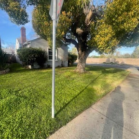 grass maintenance by Shaggy cuts,INC reviewed on September 8, 2023