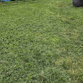 lawn care by Cuc Landscaping reviewed on May 1, 2024