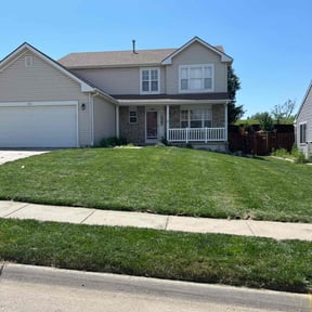 gardening service by Medinas Painting LLC reviewed on December 31, 2025