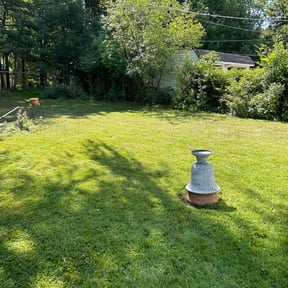 landscape maintenance by Kings Lawn Care reviewed on August 15, 2025