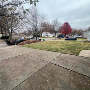 Leaf Removal by NatureNW reviewed on November 24, 2025