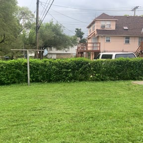 Bush Trimming by Clear Turf Lawn Care LLC reviewed on August 17, 2025