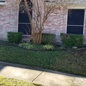Bush Trimming by S & Z Lawn Service reviewed on August 20, 2025