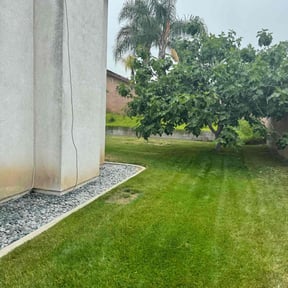 turf care by Carlos One Stop Landscaping reviewed on April 22, 2025