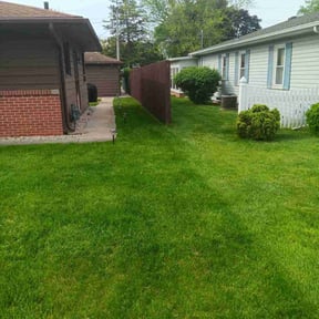 gardening service by Dr. Green Lawn LLC reviewed on August 15, 2025