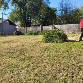 Bush Trimming by Lawn and Property services reviewed on April 28, 2026