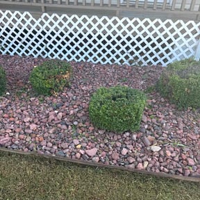 Bush Trimming by Lawn Landing Services LLC reviewed on May 20, 2024