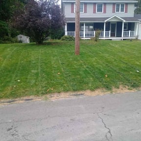 turf care by Shane Sullivan reviewed on October 12, 2023