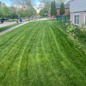 yard work by Nates Lawn Service reviewed on August 20, 2025