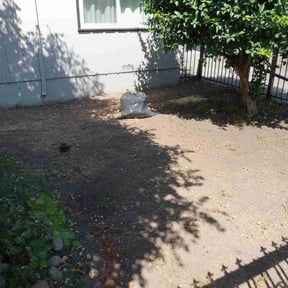 Leaf Removal by CDLandscapingFL reviewed on September 24, 2025