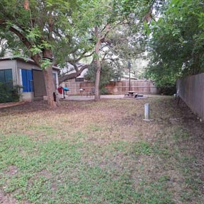 Leaf Removal by Dino Cuts Lawn Care reviewed on September 25, 2025