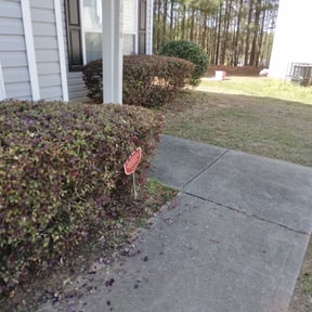 Bush Trimming by Sosa's Lawn Care & Design LLC reviewed on August 17, 2025