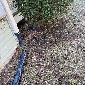 Leaf Removal by Kingsmen Landscaping reviewed on June 28, 2025