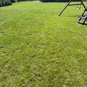 yard maintenance by RBS Lawncare service reviewed on August 16, 2025