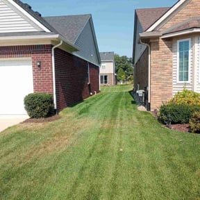 Bush Trimming by Lawn Lacerations LLC reviewed on March 18, 2022