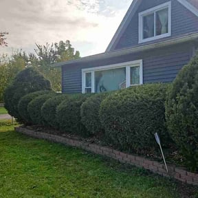 Bush Trimming by A&amp;M Lawn Care reviewed on October 24, 2025