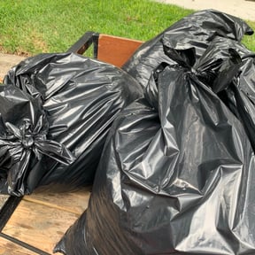 Leaf Removal by Savage Lawn reviewed on August 16, 2025