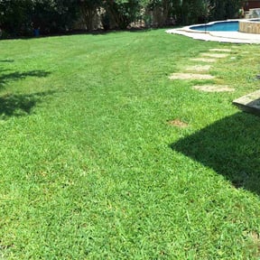 grass maintenance by Jay's Resource reviewed on November 4, 2023