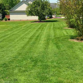 landscape maintenance by Landscapers reviewed on August 20, 2025