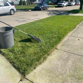grass maintenance by Y & M LANDSCAPING reviewed on September 24, 2023
