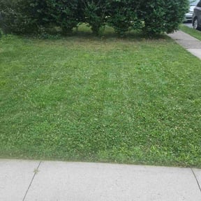 Flower Bed Weeding by Super Clean Lawn Service reviewed on July 6, 2026