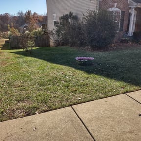 Leaf Removal by Green T&#039;s Lawn &amp; Landscape reviewed on September 7, 2025