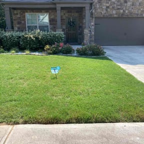 landscaping services by Strike Force (Main) reviewed on August 18, 2025